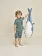 Charlie Choe E-Shark Attack Boys Short Pyjama s/s