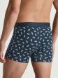 Calida Cotton Code Design Boxer Brief