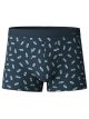 Calida Cotton Code Design Boxer Brief